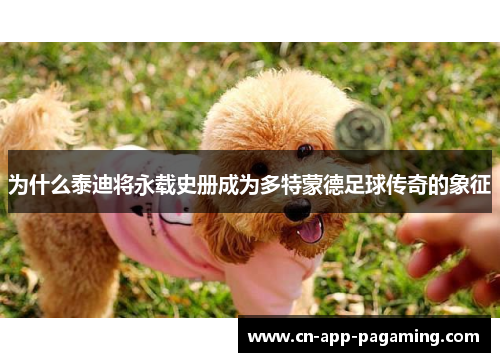 为什么泰迪将永载史册成为多特蒙德足球传奇的象征