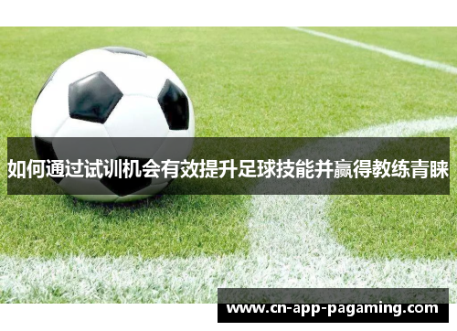 如何通过试训机会有效提升足球技能并赢得教练青睐