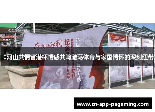 《河山共情省港杯情感共鸣激荡体育与家国情怀的深刻纽带》
