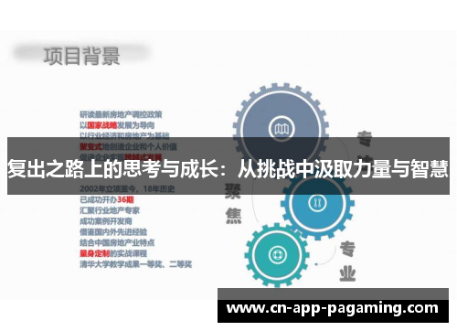 复出之路上的思考与成长：从挑战中汲取力量与智慧