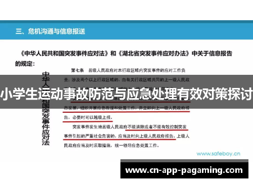 小学生运动事故防范与应急处理有效对策探讨