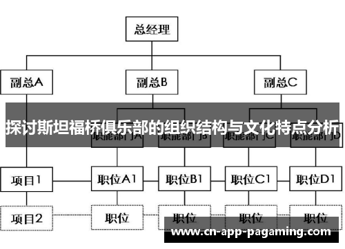 探讨斯坦福桥俱乐部的组织结构与文化特点分析