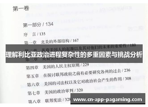 理解利比亚政治进程复杂性的多重因素与挑战分析