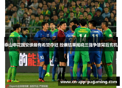 泰山申花国安谁最有希望夺冠 投票结果揭晓三强争雄背后玄机