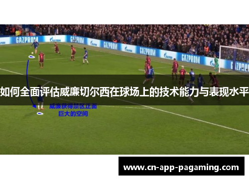 如何全面评估威廉切尔西在球场上的技术能力与表现水平