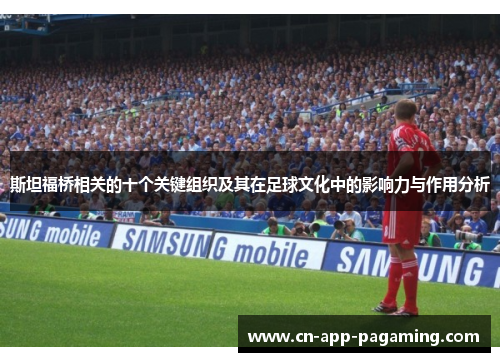 斯坦福桥相关的十个关键组织及其在足球文化中的影响力与作用分析