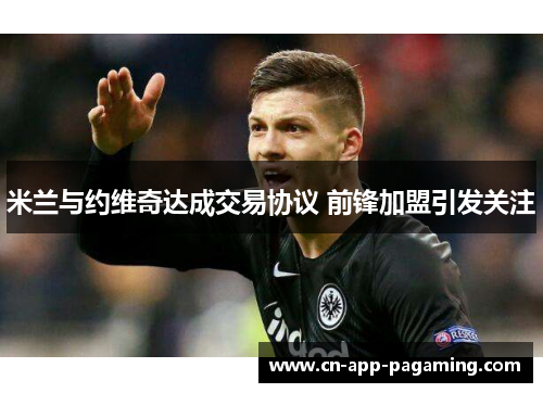 米兰与约维奇达成交易协议 前锋加盟引发关注