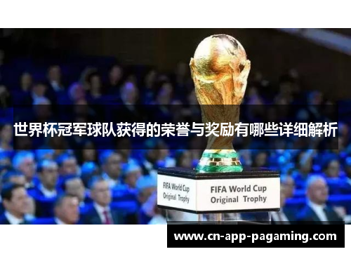 世界杯冠军球队获得的荣誉与奖励有哪些详细解析