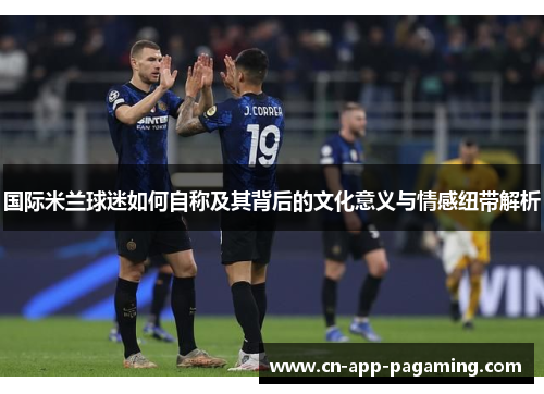 国际米兰球迷如何自称及其背后的文化意义与情感纽带解析