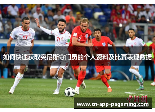 如何快速获取突尼斯守门员的个人资料及比赛表现数据