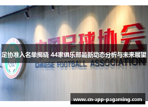 足协准入名单揭晓 44家俱乐部最新动态分析与未来展望