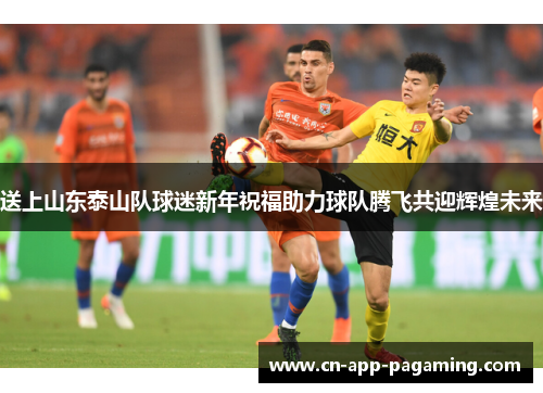 送上山东泰山队球迷新年祝福助力球队腾飞共迎辉煌未来