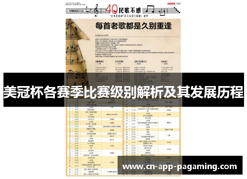 美冠杯各赛季比赛级别解析及其发展历程