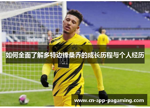 如何全面了解多特边锋桑乔的成长历程与个人经历